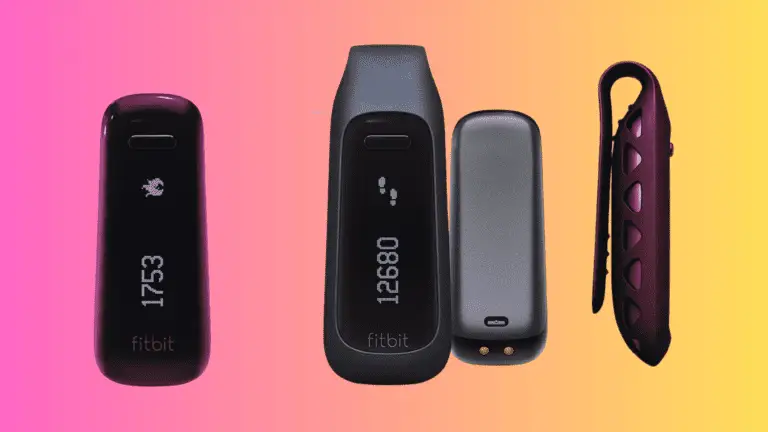 Fitbit One Review